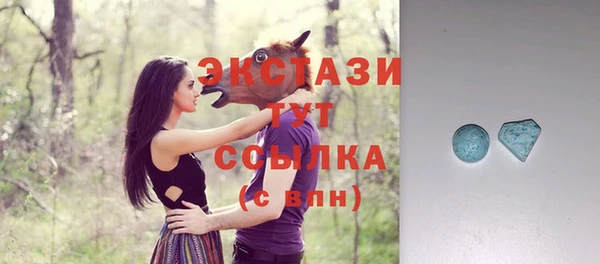 дмт Богородск