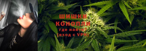 дмт Богородск