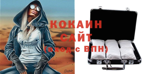 дмт Богородск